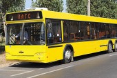 "Animale" de circ ce ies la vânătoare